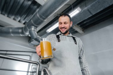 Genç sakallı bir bira imalatçısı bira fabrikasında yeni demlenmiş biranın kalite kontrolünü elinde tutuyor..