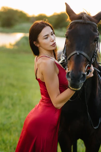 드레스를 아름다운 소녀가 석양에 종마와 목장에 포즈를 취한다 동물을 돌보는 — 스톡 사진