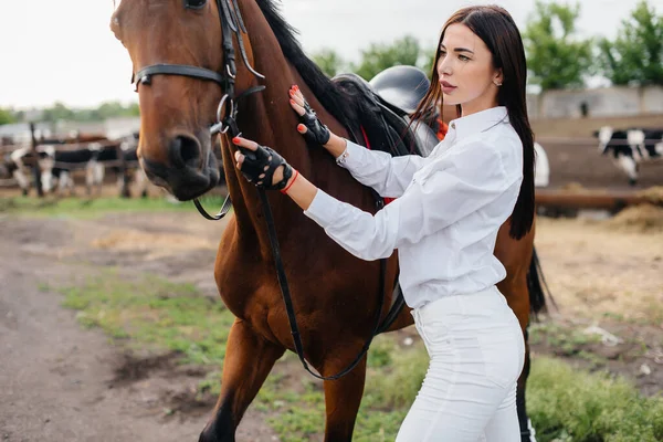 Uma Menina Bonita Jovem Cavaleiro Posa Perto Garanhão Puro Sangue — Fotografia de Stock