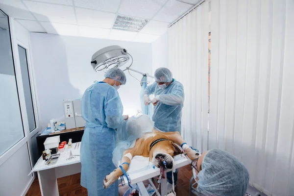 Modern Veterinary Clinic Operation Performed Life Large Dog Surgery Medicine — Stock Photo, Image