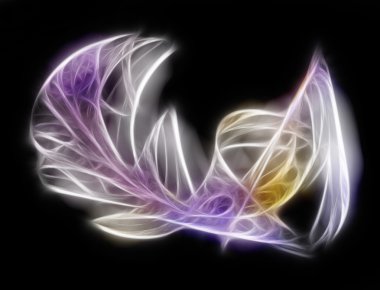 Menekşe tüy fraktal