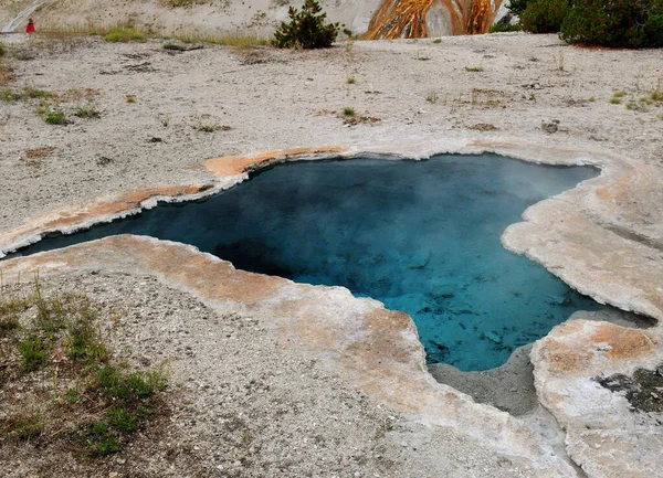 Printemps Étoile Bleue Cristalline Dans Parc National Yellowstone Bassin Supérieur — Photo