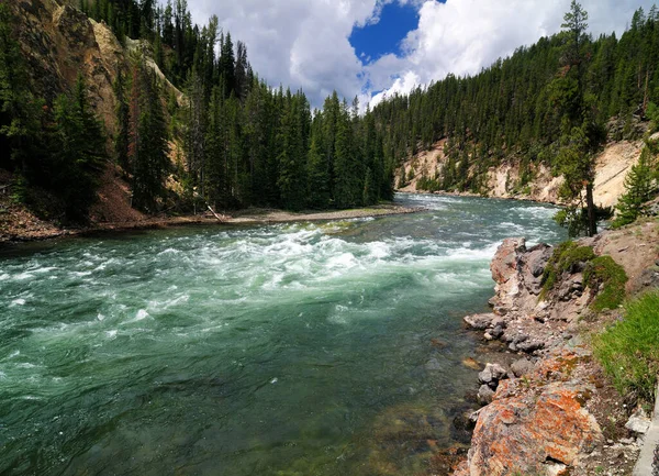 View Yellowstone River Brink Lower Falls Viewpoint Sunny Summer Day — Stock Photo, Image