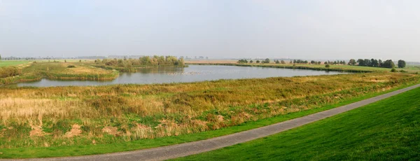 Panoramablick Vom Deich Auf Eine Vogelkolonie Schilfgürtel Nationalpark Wattenmeer Bei — Stockfoto
