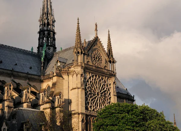 Rozetă Frumoasă Marginea Râului Catedralei Notre Dame Din Paris Franța — Fotografie, imagine de stoc
