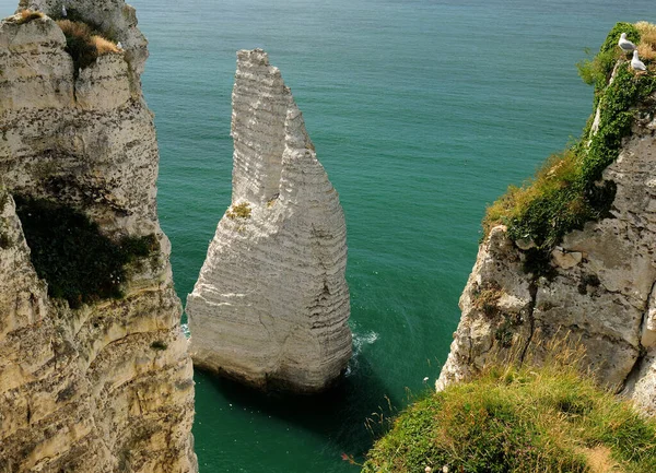 Sea Stack Dans Mer Verte Chatoyante Sur Côte Raide Chalk — Photo