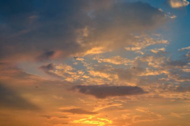 Mavi, beyaz ve turuncu bulutlu Panorama akşam gökyüzü