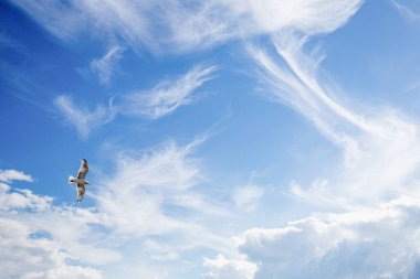 Arka plan için güzel mavi gökyüzü bulutları. Gökyüzünün manzarası.