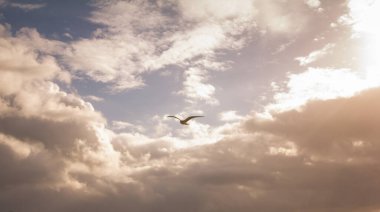 Mavi, beyaz ve turuncu bulutlu Panorama akşam gökyüzü