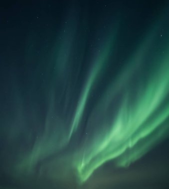 Aurora borealis, gece gökyüzünde yıldızlı kuzey ışıkları, Aurora borealis, gece gökyüzünde yıldızlı kuzey ışıkları.