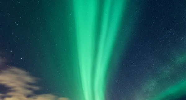 Aurora Borealis Северное Сияние Звездой Ночном Небе Aurora Borealis Северное — стоковое фото