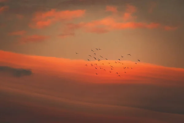 Céu Noturno Panorama Com Nuvens Azuis Brancas Laranja — Fotografia de Stock