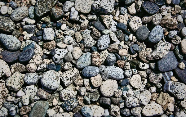 Pebbles Texture milieux — Photo