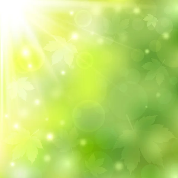 Primavera o verano soleado fondo verde natural con luces bokeh y hojas de arce — Vector de stock