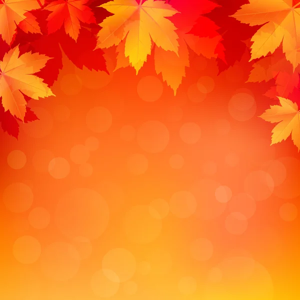 Autumn, fall background with bright golden maple leaves — Stock Vector