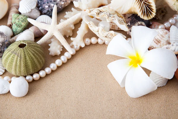 Marine items on sand — Stock Photo, Image