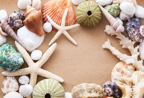 Marine items on sand — Stock Photo, Image