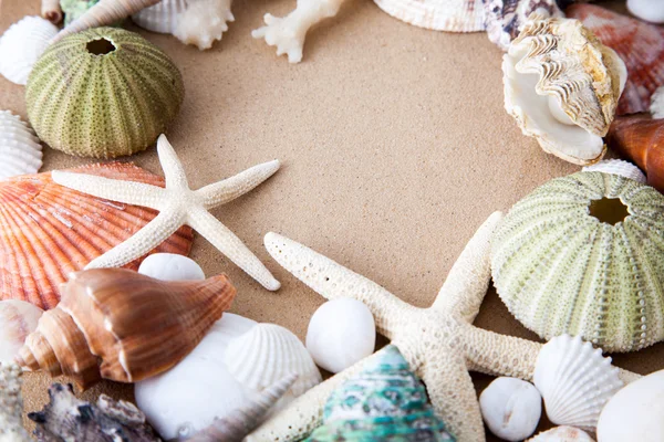 Marine items on sand — Stock Photo, Image