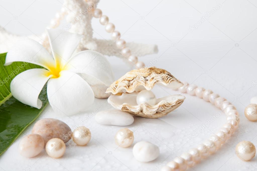 White pearl in shell decorated with pearl necklace.