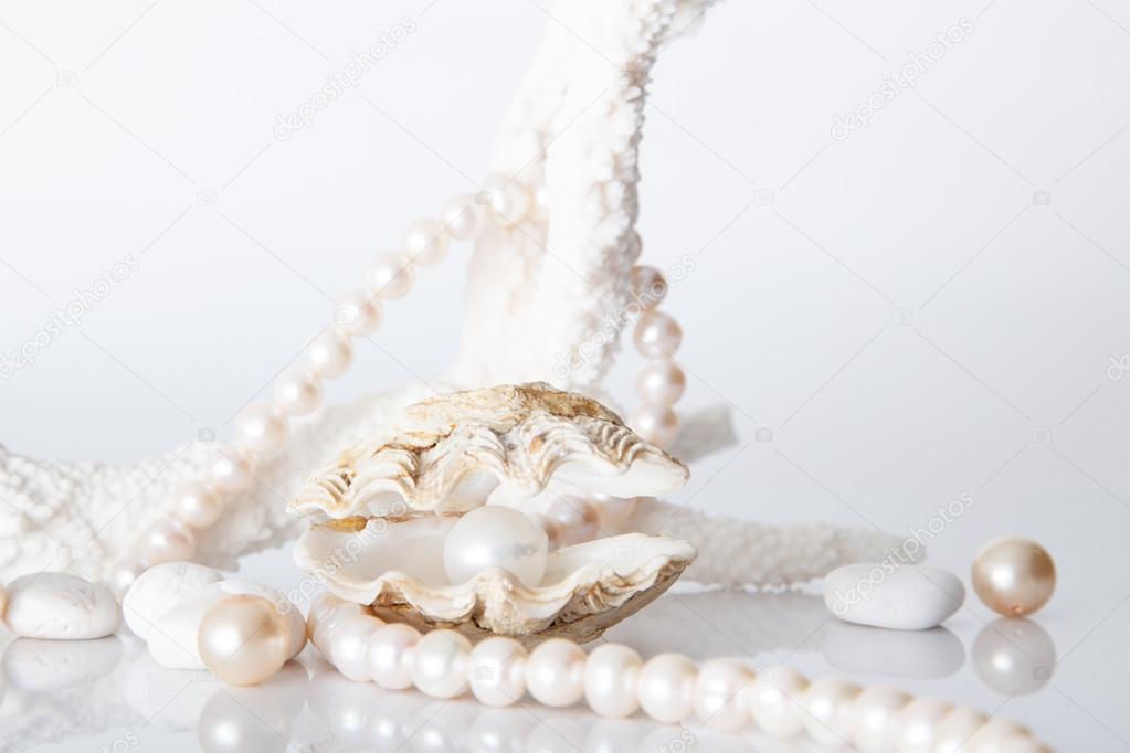 White pearl in shell decorated with pearl necklace.