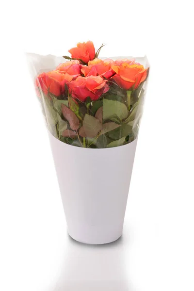 Bellezza Bouquet Rosa Arancio Avvolto Plastica Trasparente Carta Bianca Sfondo — Foto Stock