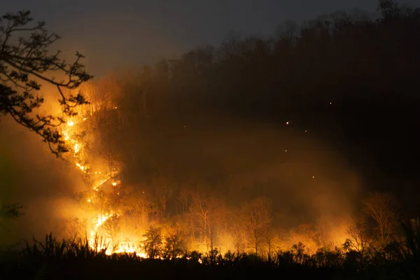 漆黑的夜晚 橙色的火光在山上的森林里燃烧着许多树 — 图库照片
