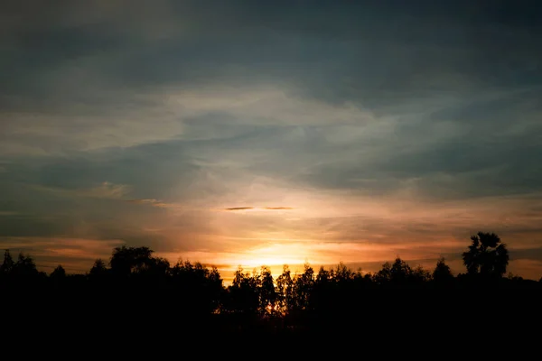 Beautiful sky of sunset and last light in shadow of tree line.