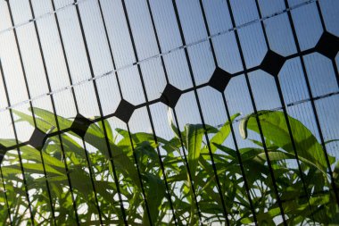 Güneş teknolojisinin tarıma uygulanması kavramını resmetmek için arkaplan resmi.