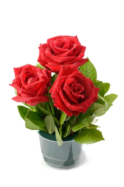 Rose sono rosse — Foto Stock