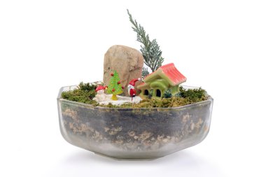 Noel için küçük Bahçe.