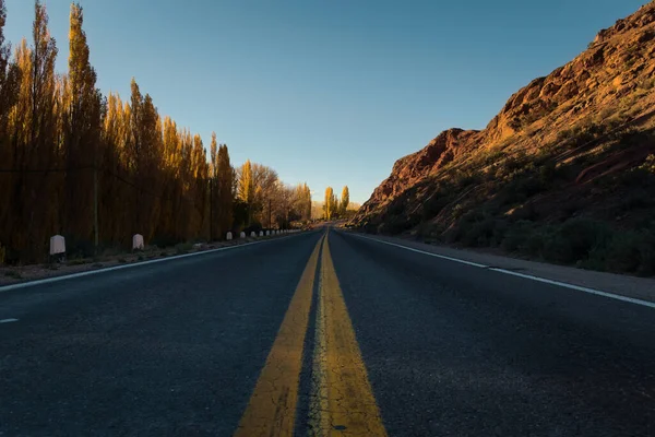 アルゼンチンのメンドーサ州のUspallataで秋の午後に黄色のポプラの木が並ぶTarmac道路 — ストック写真