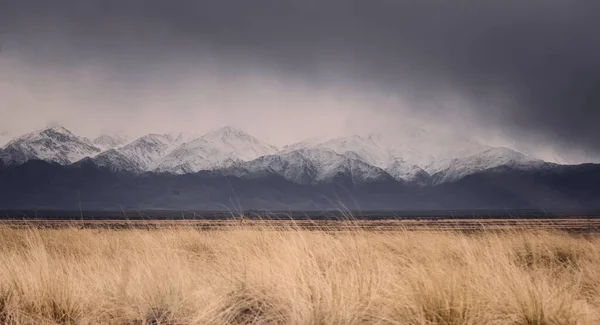 Kalla Torra Gräsmarker Vid Snöiga Anderna Tupungato Mendoza Argentina Mörk — Stockfoto