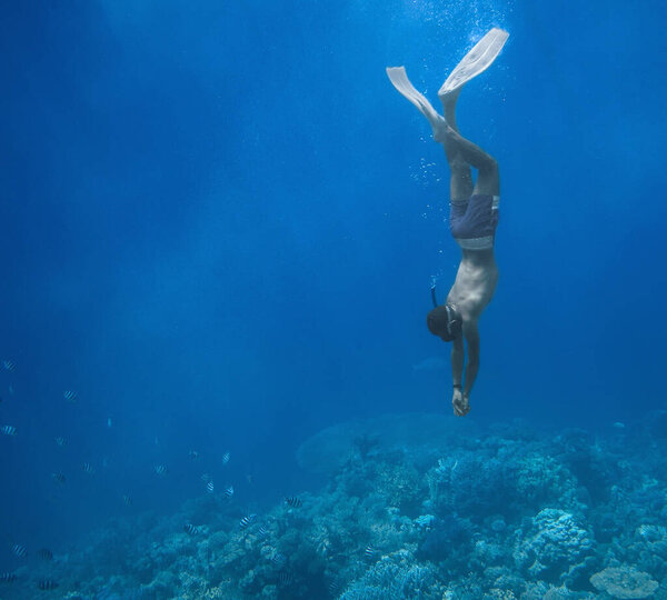 Hurghada. Egypt. 21 March. 2021. A diver dives among sea fish against the backdrop of a coral reef in the Red Sea.