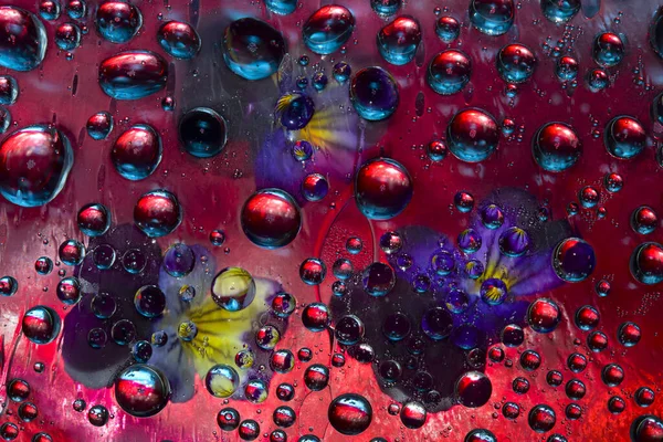 Gotas Água Transparentes Estão Localizadas Fundo Vermelho Com Flores Roxo — Fotografia de Stock