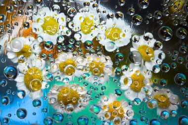 Şeffaf su damlacıkları sarı-beyaz çiçeklerle turkuaz-siyah arka plana düşüyorlar. 3 Boyutlu Hazırlama.