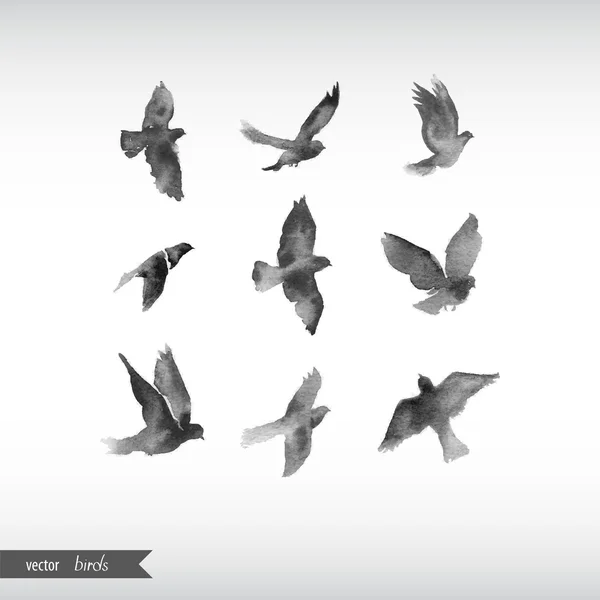 Watercolor birds. — Stock Illustration Watercolor birds. Royalty Free Stock Illustrations