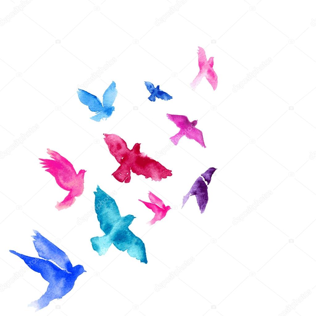 Watercolor Birds Stock Vector C Mrs Opossum