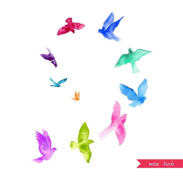 水彩鳥の絵 — ストックベクタ