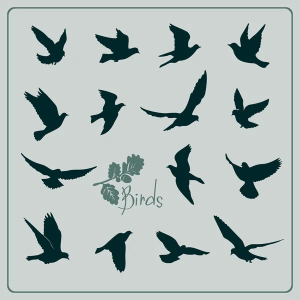 Conjunto de siluetas de aves — Vector de stock