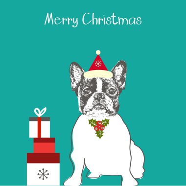 Tatlı Fransız bulldog 'u