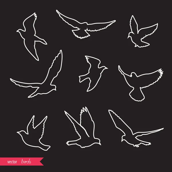 Uçan Kuş silhouettes — Stok Vektör