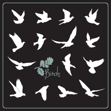 Uçan Kuş silhouettes