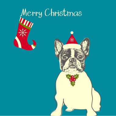 Tatlı Fransız bulldog 'u