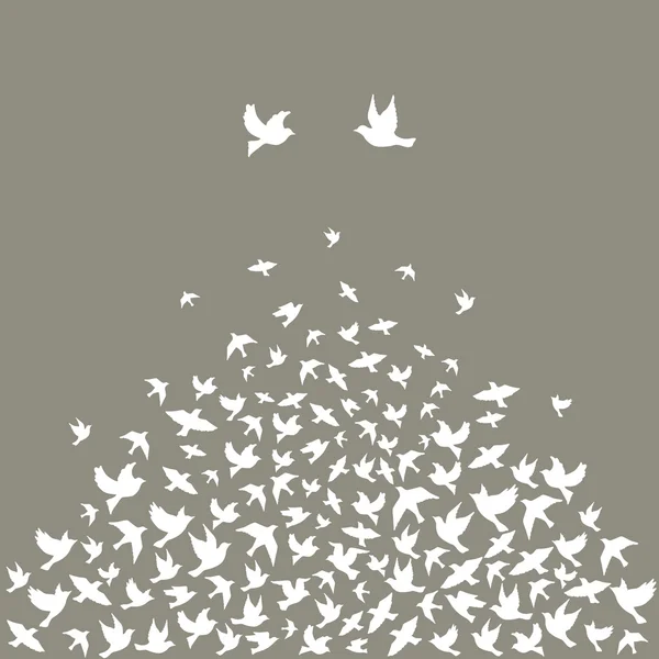 Silhuetter av flygande fåglar — Stock vektor
