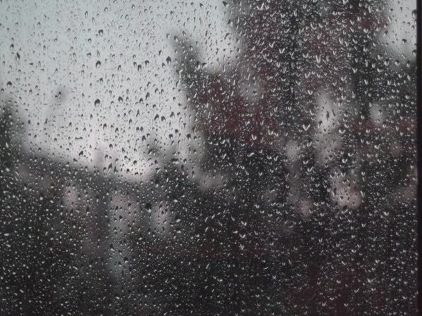 Pencerenin Dışında Yağmur Güçlü Rüzgar — Stok video