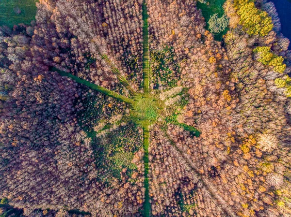 Drone Φωτογραφία Από Σταυροδρόμι Μεταξύ Δέντρων Πολύχρωμο Δάσος Στην Ύπαιθρο — Φωτογραφία Αρχείου