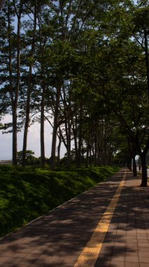 Yellow Tactile Paving Path on City Sidewalk