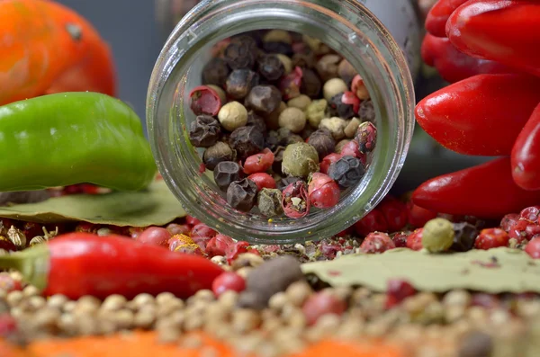 Especiarias. Alimentos e ingredientes da cozinha . — Fotografia de Stock