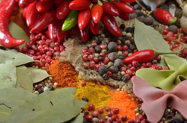 Especiarias. Alimentos e ingredientes da cozinha . — Fotografia de Stock