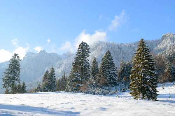 美丽的冬天景观山 — 图库照片